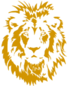The Lions apparel